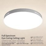 Decorative Home Lighting